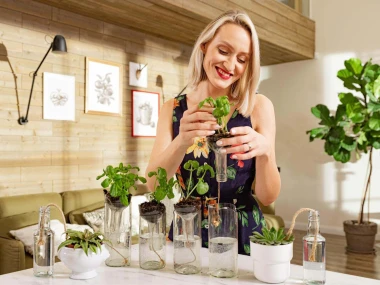 LIDL Sodo prekių katalogas Image