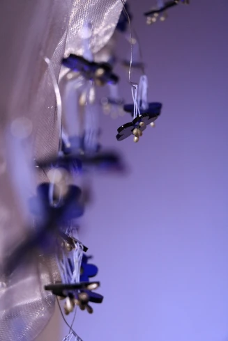 Utos Images-Image 10