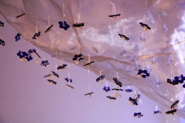 Utos Images-Image 13